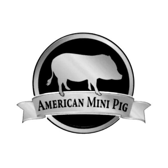 American Mini Pig logo